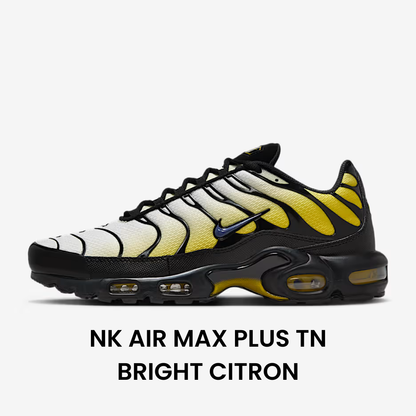 Special Sneakers™️