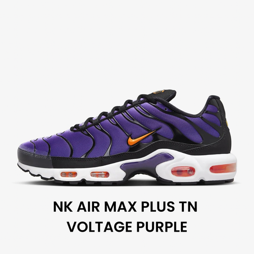 Special Sneakers™️