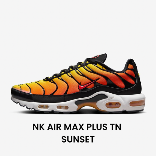 Special Sneakers™️
